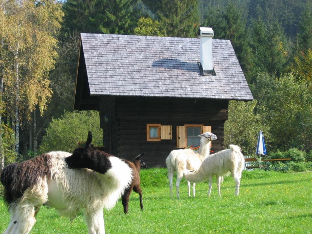 Huette Zum Verlieben Gurk Kültér fotó